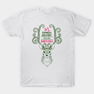 Express delivery from the North Pole T-Shirt